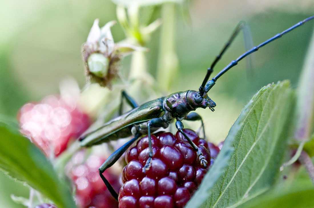 Conclave: Entenda quais são as consequências da quebra de sigilo