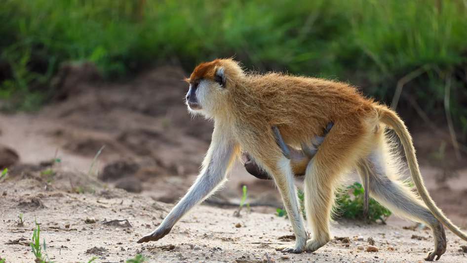 Índia respondeu de maneira "eficaz" à operação do Paquistão, diz militar